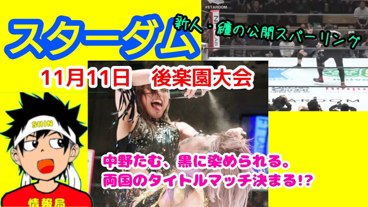 【スターダム】11月11日・後楽園　中野たむ黒に染められる。